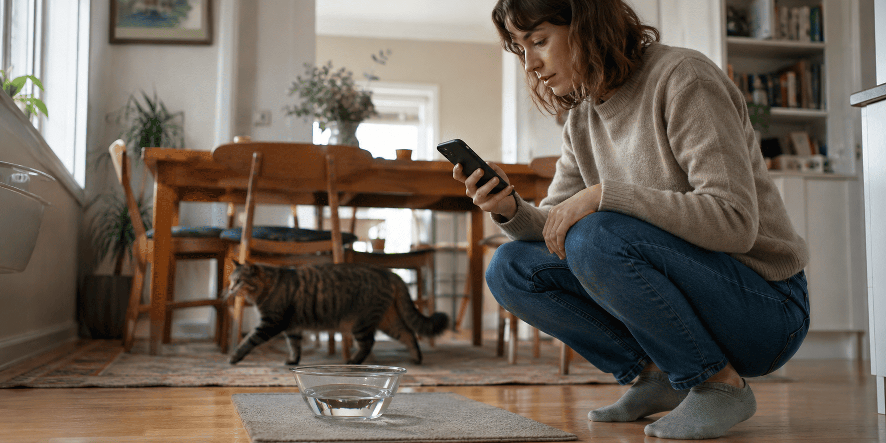 Cat Drinking Less Water Than Usual