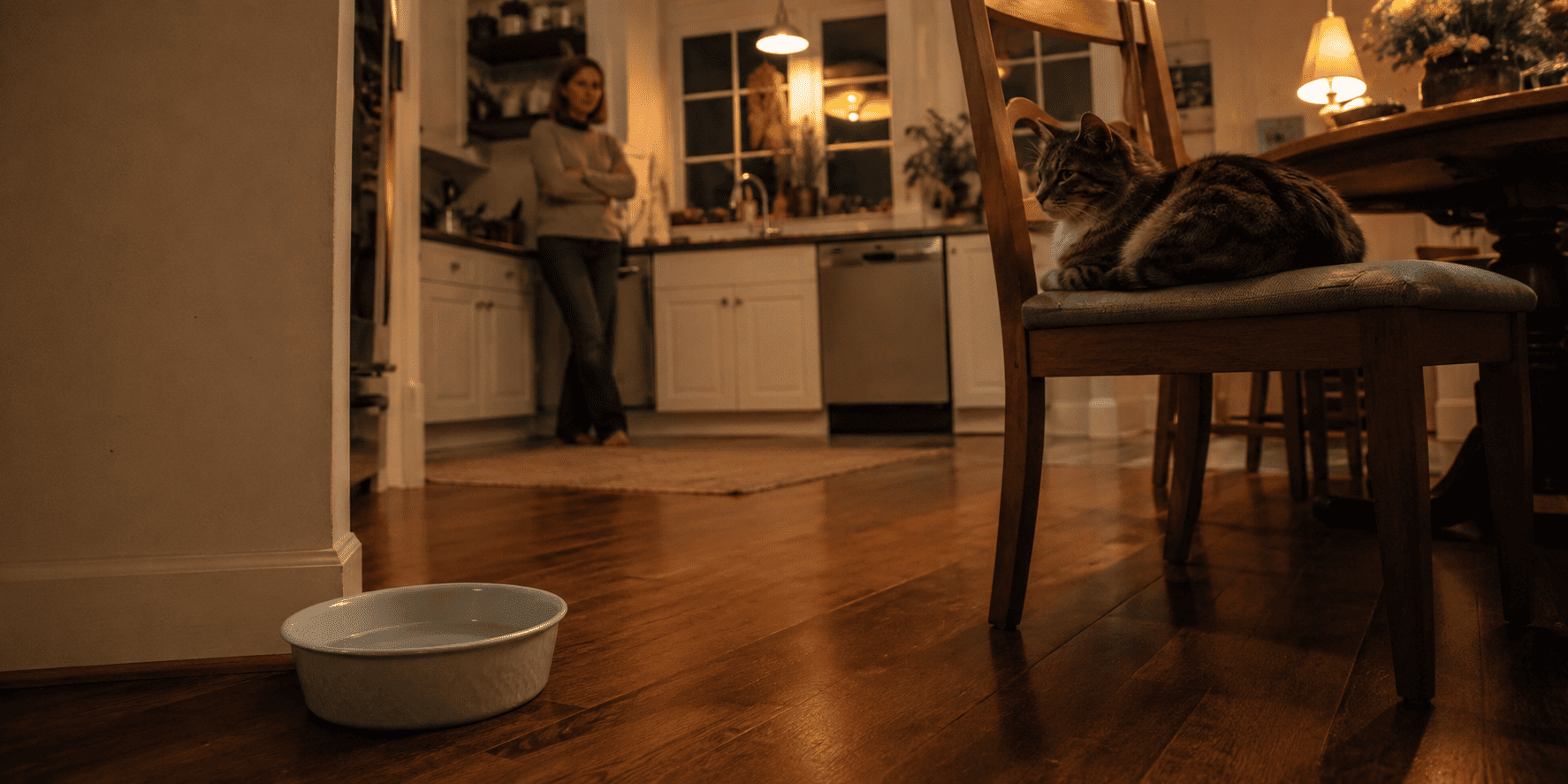 Cat Not Drinking Water