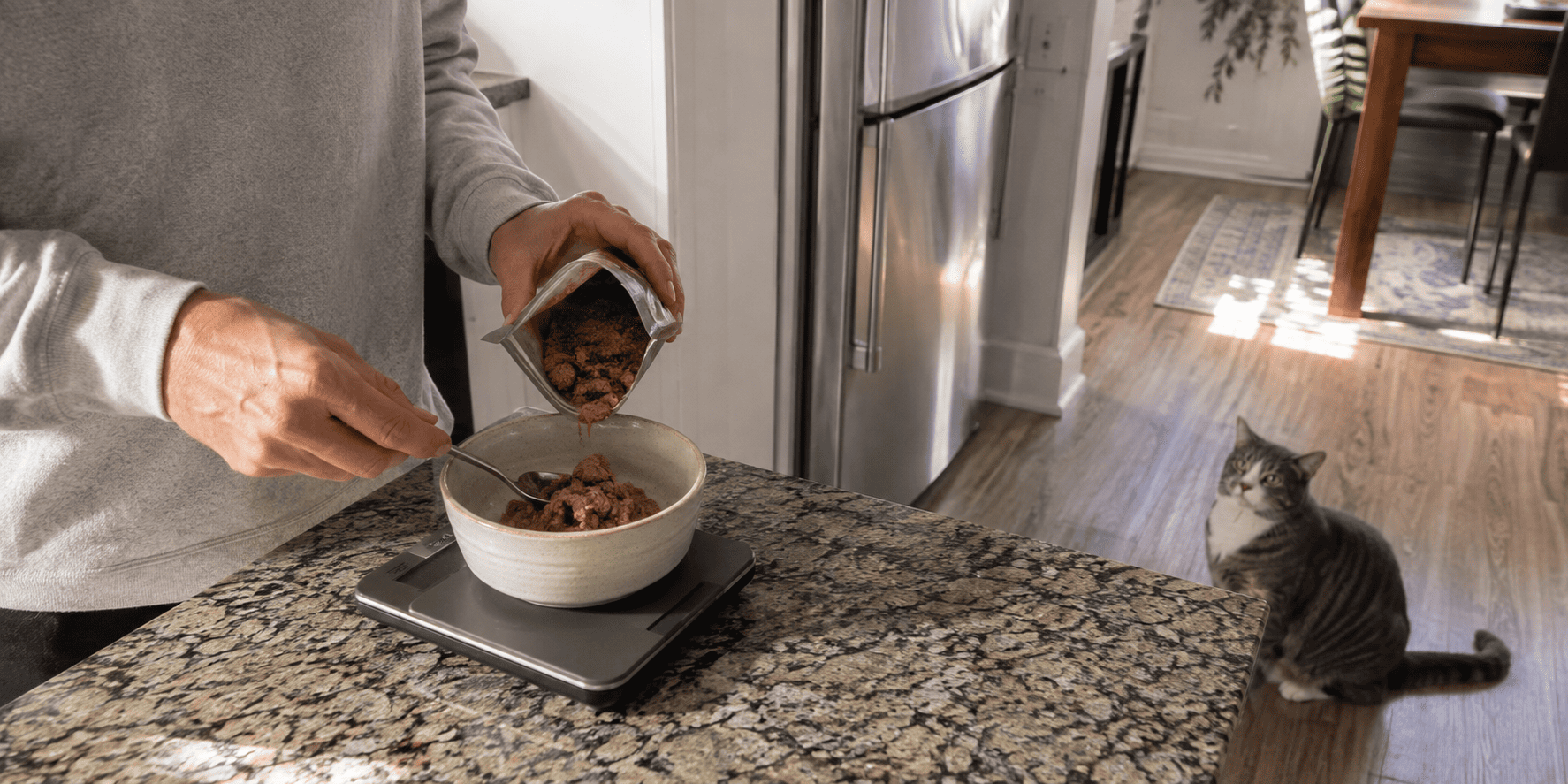 How Much Should an Indoor Cat Eat Each Day