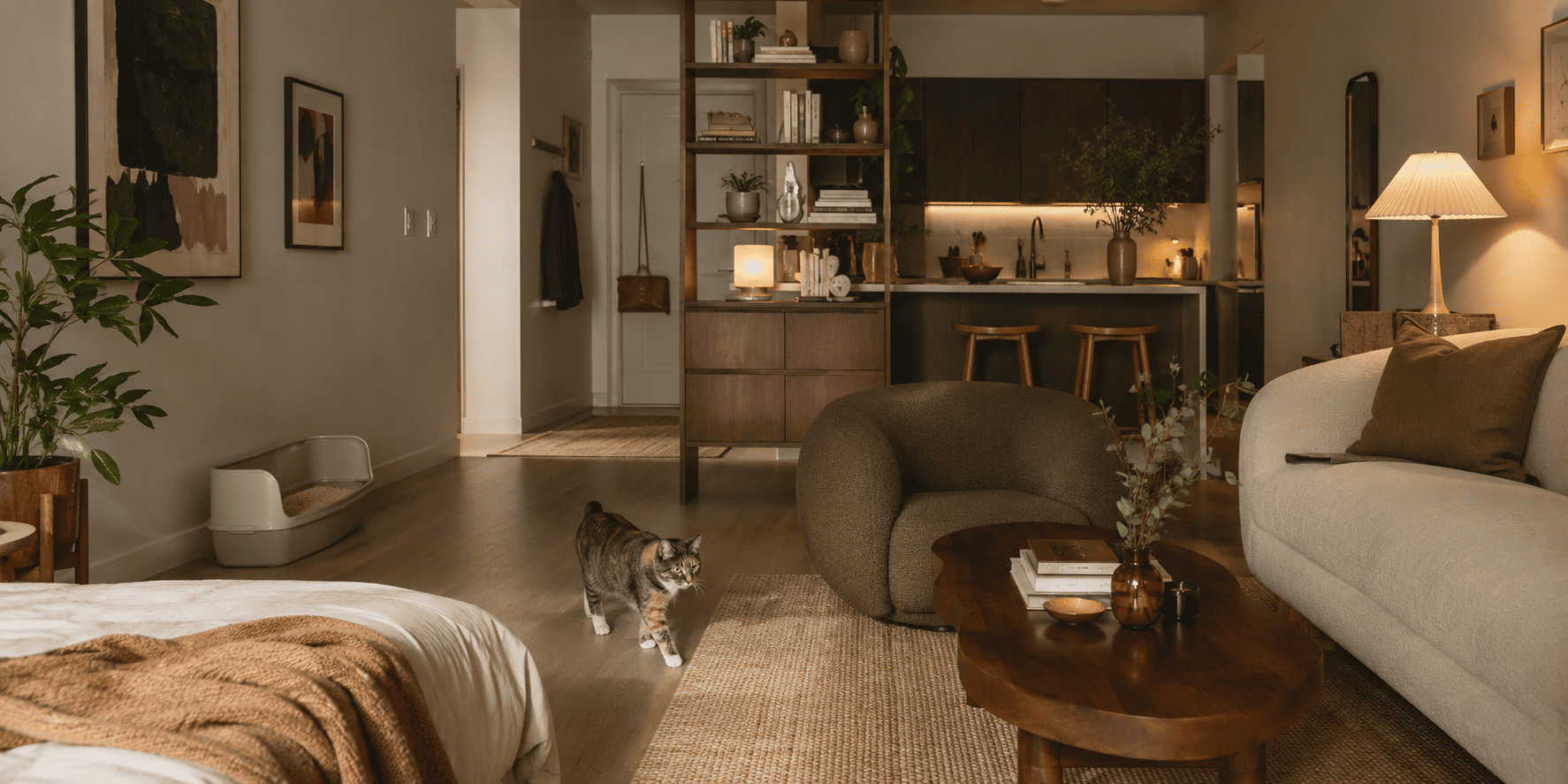 How to Set Up a Litter Box in a Small Apartment