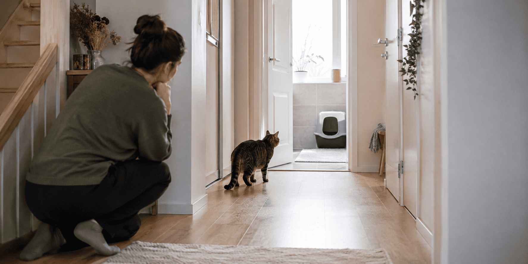 Why Is My Cat Suddenly Avoiding the Litter Box?